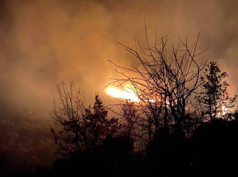 Κάηκαν 40 στρέμματα στο Ανυδρο Τριφυλίας