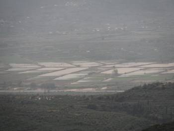 Βούλιαξαν χωράφια στον κάμπο - Μεγάλες ζημιές σε σπίτια σε Θουρία και Μικρομάνη (βίντεο και φωτογραφίες)