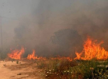 Εσβησε η φωτιά στα Λυκόχια Μεγαλόπολης 