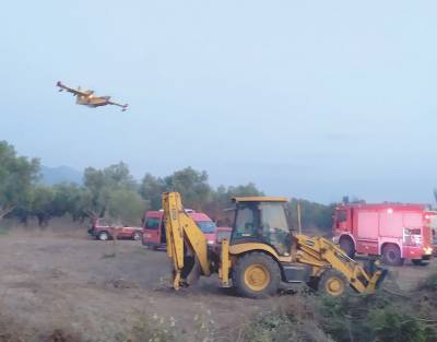 Μεσσηνία: Πάνω από 1200 στρέμματα έκαψε φωτιά στο Διαβολίτσι