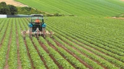 ΟΠΕΚΕΠΕ: Πληρώθηκαν 82.870 αγρότες για ενισχύσεις 46 εκατ. ευρώ