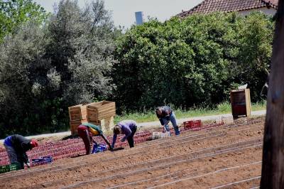 Aδεια παραμονής με νόμιμη εργασία σε 30.000 μετανάστες