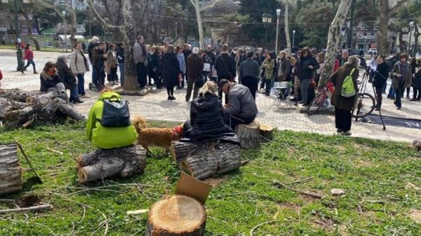 Θεσσαλονίκη: Συνεχίζεται η διαμαρτυρία κατά της κοπής δέντρων στην πόλη