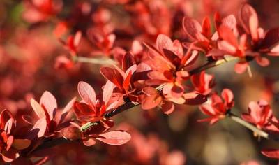 Αστρολογία – 20/05/2023