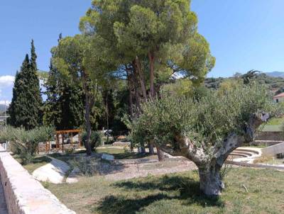 Νέα παράταση για το Πάρκο Ελιάς - Με αισιόδοξη την δημοτική αρχή και επιφυλακτική την αντιπολίτευση