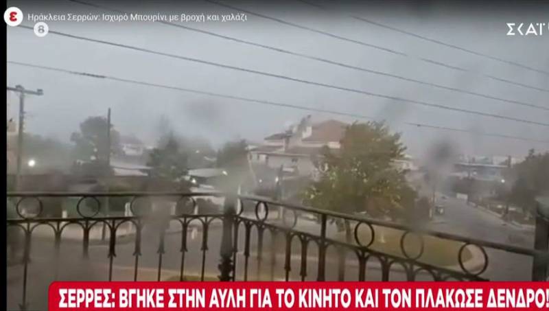 Σέρρες: Νεκρός 69χρονος που καταπλακώθηκε από δέντρο (βίντεο)