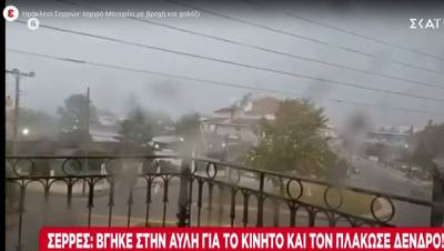 Σέρρες: Νεκρός 69χρονος που καταπλακώθηκε από δέντρο (βίντεο)