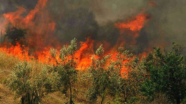 Υψηλός και σήμερα ο κίνδυνος για πυρκαγιά