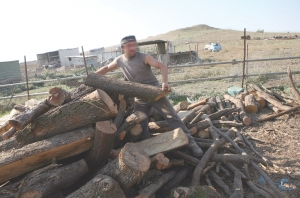 Μάδενα: Εκλεψαν τα ξύλα λαθραίας υλοτομίας
