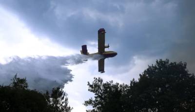 Φωτιά στον Φενεό Κορινθίας - Μεγάλη κινητοποίηση της πυροσβεστικής