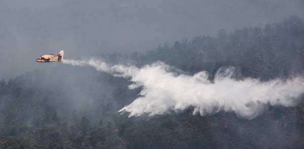 Φωκίδα: Σε ύφεση η πυρκαγιά στην περιοχή Κλήμα του δήμου Δωρίδας