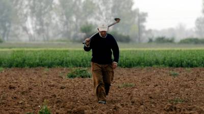 Το νέο Δ.Σ. της Ομοσπονδίας Αγροτών Πελοποννήσου
