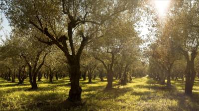 Η Costa Navarino σε πρόγραμμα για πυρκαγιές