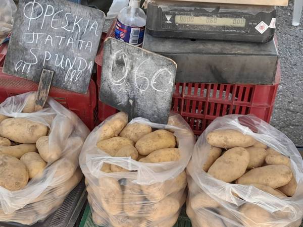 Καλαμάτα: Στα 60 με 70 λεπτά οι πρώιμες πατάτες - Τι λένε οι παραγωγοί (βίντεο)