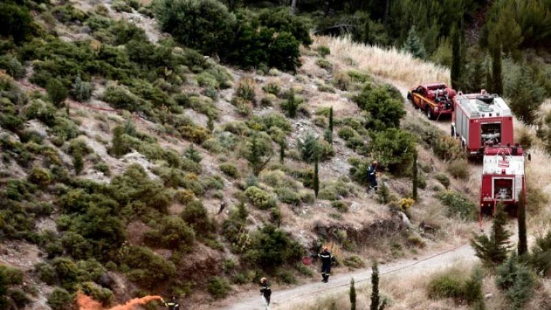 Αμαλιάδα: Επιτήρηση με drone της Πυροσβεστικής στις περιοχές που εκδηλώθηκαν οι πυρκαγιές