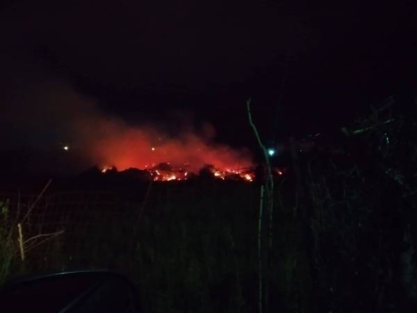 Καλαμάτα: Πυρκαγιά σε οικόπεδο στην Κηπούπολη