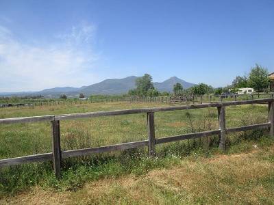 Επιστολή: Εγκατάλειψη δημοτικών διαμερισμάτων από το δήμαρχο Καλαμάτας