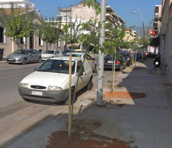 Φυτεύσεις δέντρων σε δρόμους της Καλαμάτας 