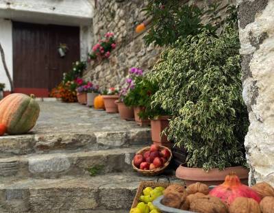 Πλήθος δράσεων στη Βαμβακού