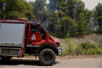 Πτολεμαΐδα: Φωτιά σε δασική έκταση – Επιχειρούν εναέρια μέσα