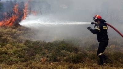 Τουρνάς: Πάνω από 400 πυρκαγιές το τελευταίο δεκαήμερο (βίντεο)