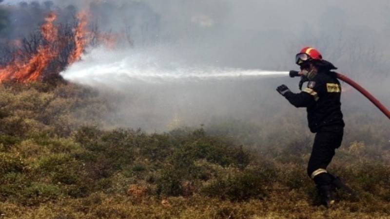Τουρνάς: Πάνω από 400 πυρκαγιές το τελευταίο δεκαήμερο (βίντεο)