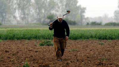 Παράταση χρόνου υποβολής των δηλώσεων Ενιαίας Ενίσχυσης  