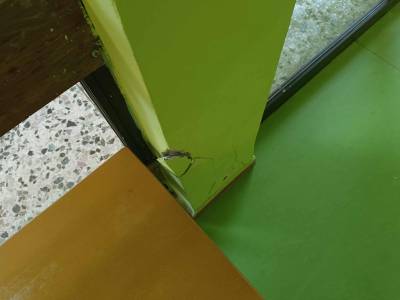 Το παράδειγμα του Ζ’ Βρεφονηπιακού Σταθμού Καλαμάτας