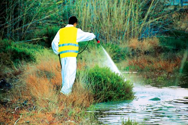 Μεγάλο πρόβλημα με τα κουνούπια στο Δήμο Μεσσήνης