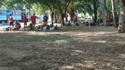 Πάνω από 1.000 πρόσκοποι περιηγούνται στην Πελοπόννησο