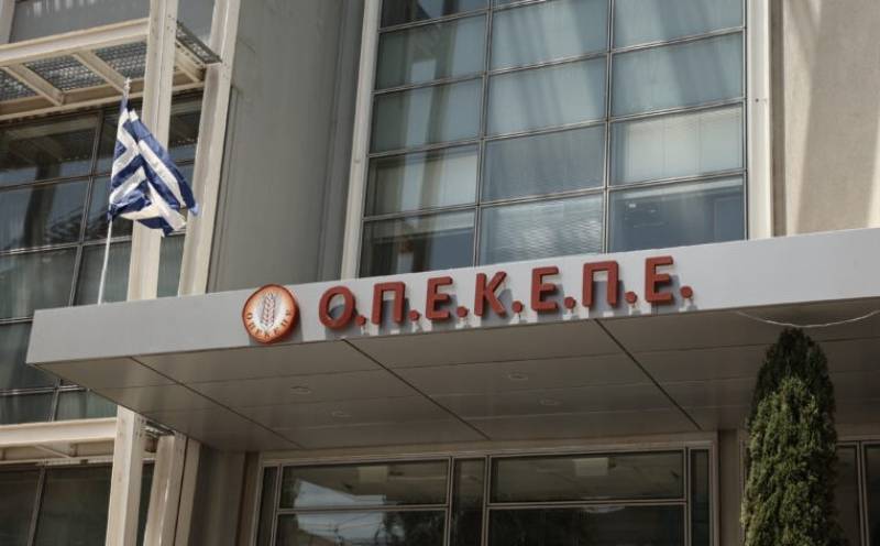 ΟΠΕΚΕΠΕ: Την ενοχή των επτά κατηγορουμένων για παράνομες επιδοτήσεις προτείνει η Εισαγγελέας (βίντεο)