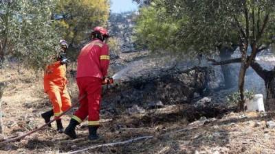 Eπέκταση αντιπυρικής περιόδου στην Πελοπόννησο ζητεί ο Βελόπουλος