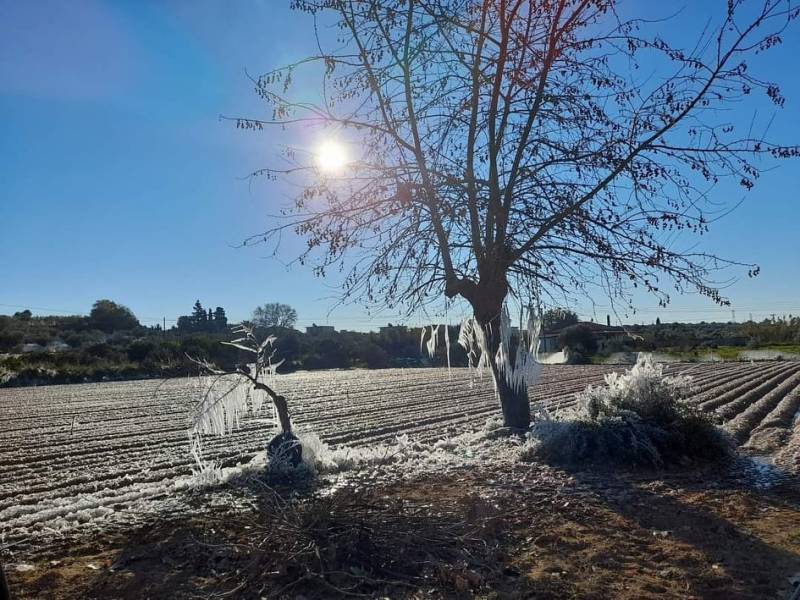 Χαμηλές θερμοκρασίες, αλλά χωρίς προβλήματα στην Τριφυλία