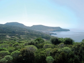 Αξιοποίηση της Πρώτης ζητούν οι τοπικοί σύμβουλοι στο Μάραθο