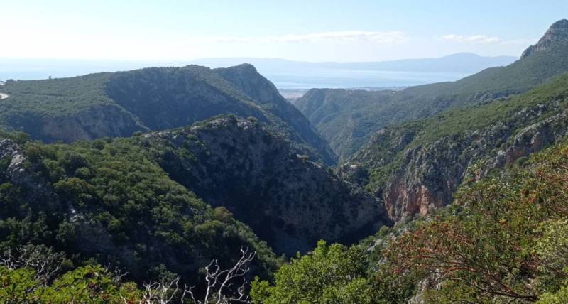 Δήμος Καλαμάτας: Σύμβαση για δημιουργία ζωνών πυροπροστασίας