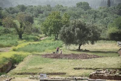 Παρουσιάστηκαν ευρήματα από ανασκαφές σε Αρχαία Μεσσήνη και Θουρία