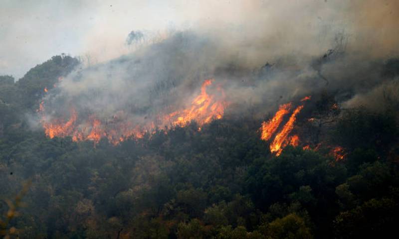 Γρεβενά: Φωτιά σε ορεινή δασική περιοχή