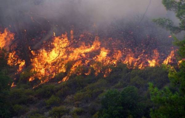Ακραίος κίνδυνος πυρκαγιάς αύριο σε Πελοπόννησο και ακόμα 5 περιφέρειες
