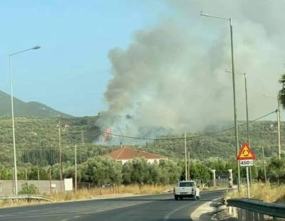 Μεσσηνία: Πυρκαγιά στην Άνθεια