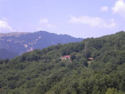 Επιστημονική εκδήλωση για το Δασικό Δίκαιο