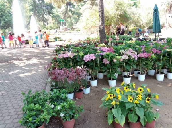 10 με 19 Μαΐου η Ανθοκομική έκθεση στο Πάρκο Σιδηροδρόμων Καλαμάτας