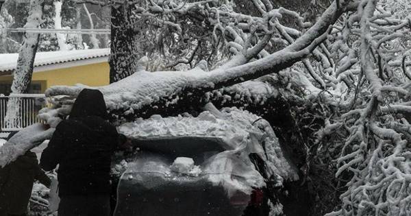 Αποζημιώνονται από τον δήμο Αθηναίων οι ιδιοκτήτες αυτοκινήτων που υπέστησαν ζημιές από πτώσεις δένδρων