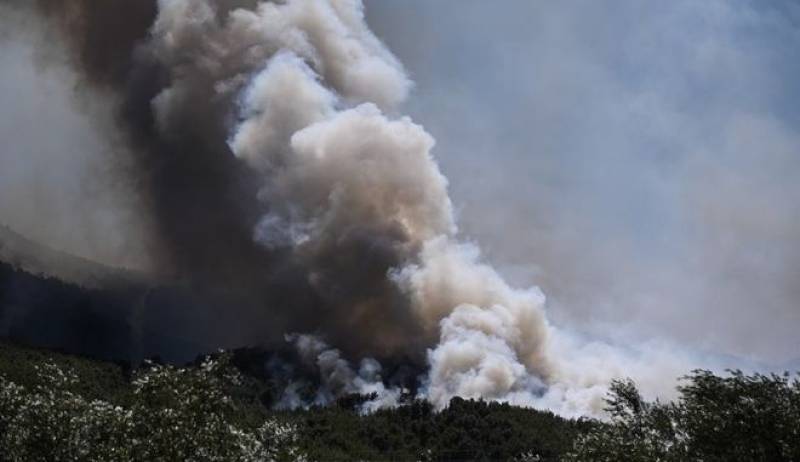 Νέες φωτιές σε Κορινθία, Ηλεία και Αχαΐα - Ένα σπίτι κάηκε ολοσχερώς στο Πόρτο Γερμενό (βίντεο)