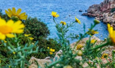 Καλός ο καιρός σήμερα - Αναλυτική πρόγνωση (Βίντεο)