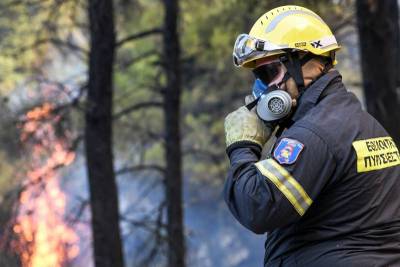 Εμπρηστής έβαλε 10 φωτιές στη Μεσσηνία: Συνελήφθη και “έφαγε” 4 χρόνια