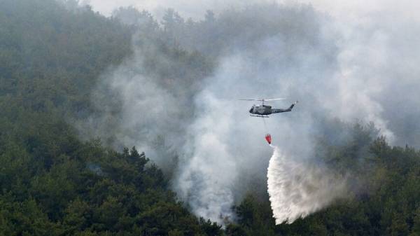 Λίβανος: Μεγάλη πυρκαγιά στο μεγαλύτερο πευκοδάσος της χώρας