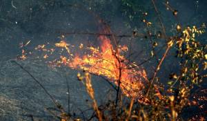 Πυρκαγιά έκαψε 17 στρ. στην Ανθούσα