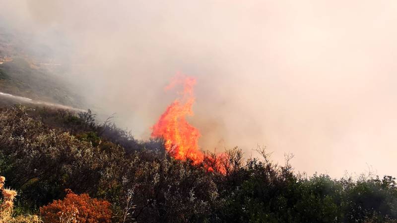 Πυρκαγιά σε δασική έκταση στο Λεπρεό Ηλείας