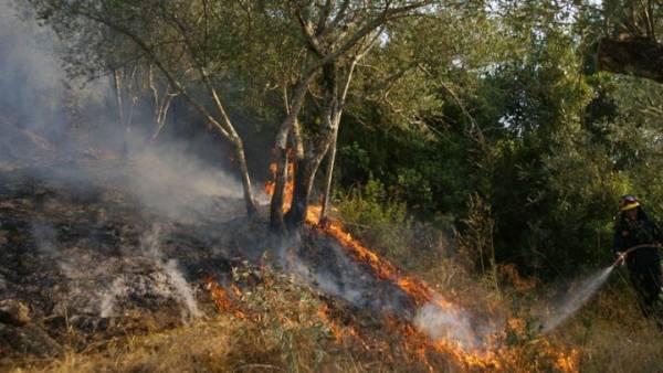 Υπό έλεγχο πυρκαγιά στο χωριό Λιθακιά Ζακύνθου