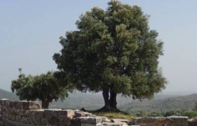 Αρθρο μαθητών των εκπαιδευτηρίων Μπουγά στην &quot;Huffington Post&quot;